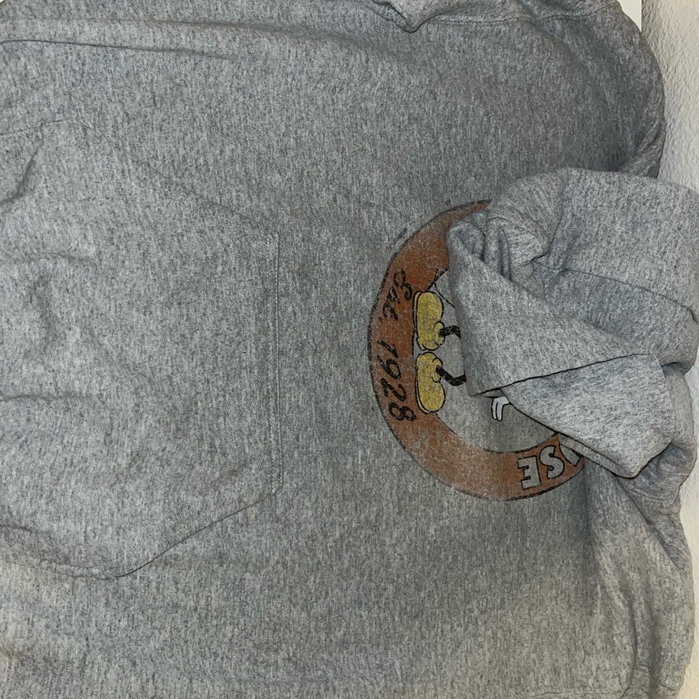 disney land hoodie